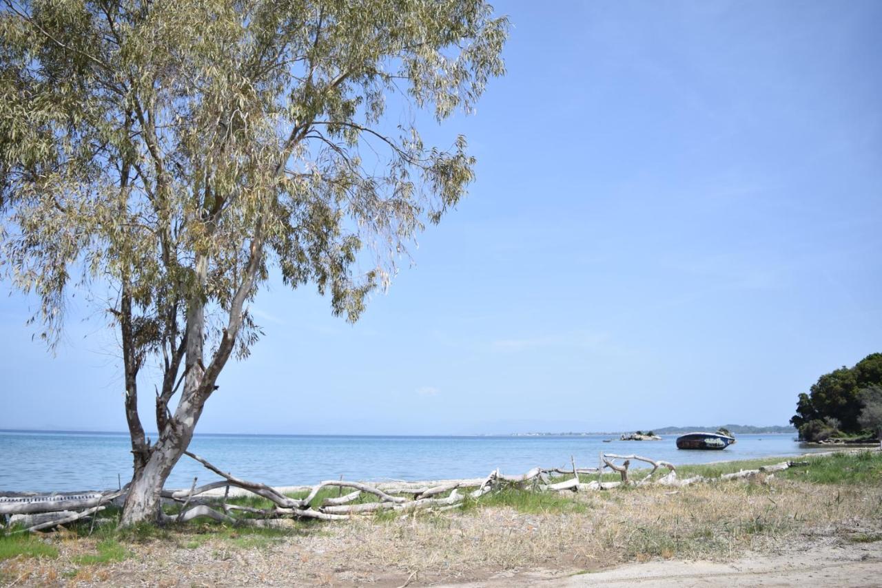 Corfu Seaview Maisonette - Sopra Il Mare Petrití Exterior photo
